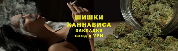прущие грибы Кинешма