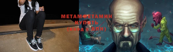 прущие грибы Кинешма