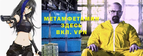 прущие грибы Кинешма