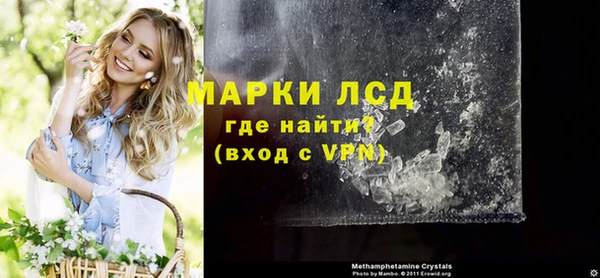 прущие грибы Кинешма