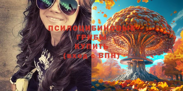 соль ск Киреевск