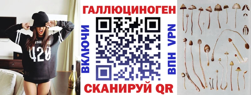 Купить  Весьегонск  Псилоцибиновые грибы MAGIC MUSHROOMS 
